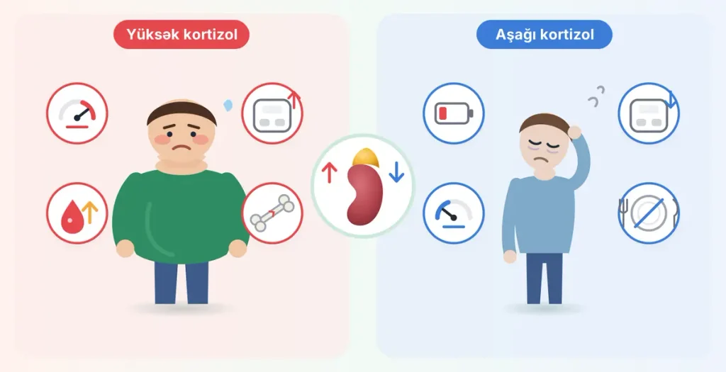 kortizol , kortizol hormonu, stress hormonu, yüksək kortizol, aşağı kortizol, kortizolu necə azaltmaq, Kuşinq sindromu, böyrəküstü vəzi çatışmazlığı, böyrəküstü vəzilər